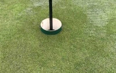 Corona Country Club-Part XII