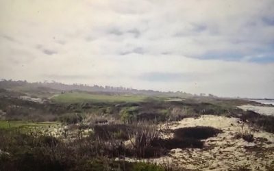 Golf in the Pandemic