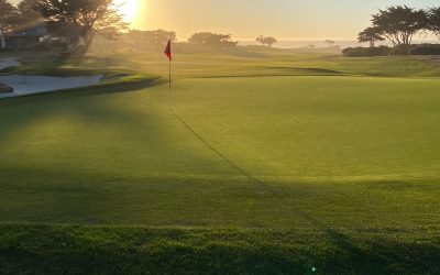 Emotions on the Golf Course