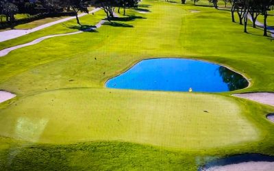 Meanderings before the US Open