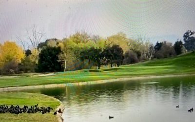 Bay Area Golf Thrives in the Pandemic