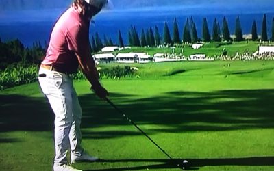 Tour Professionals Bludgeon the Plantation Course
