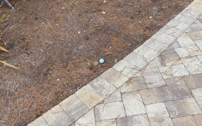 Worst Golf Shot Ever
