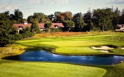 Aaron Rai Emerges as PGA Champion