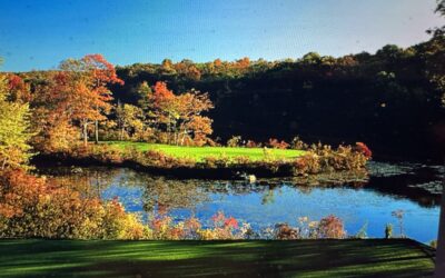 A Week of Golf