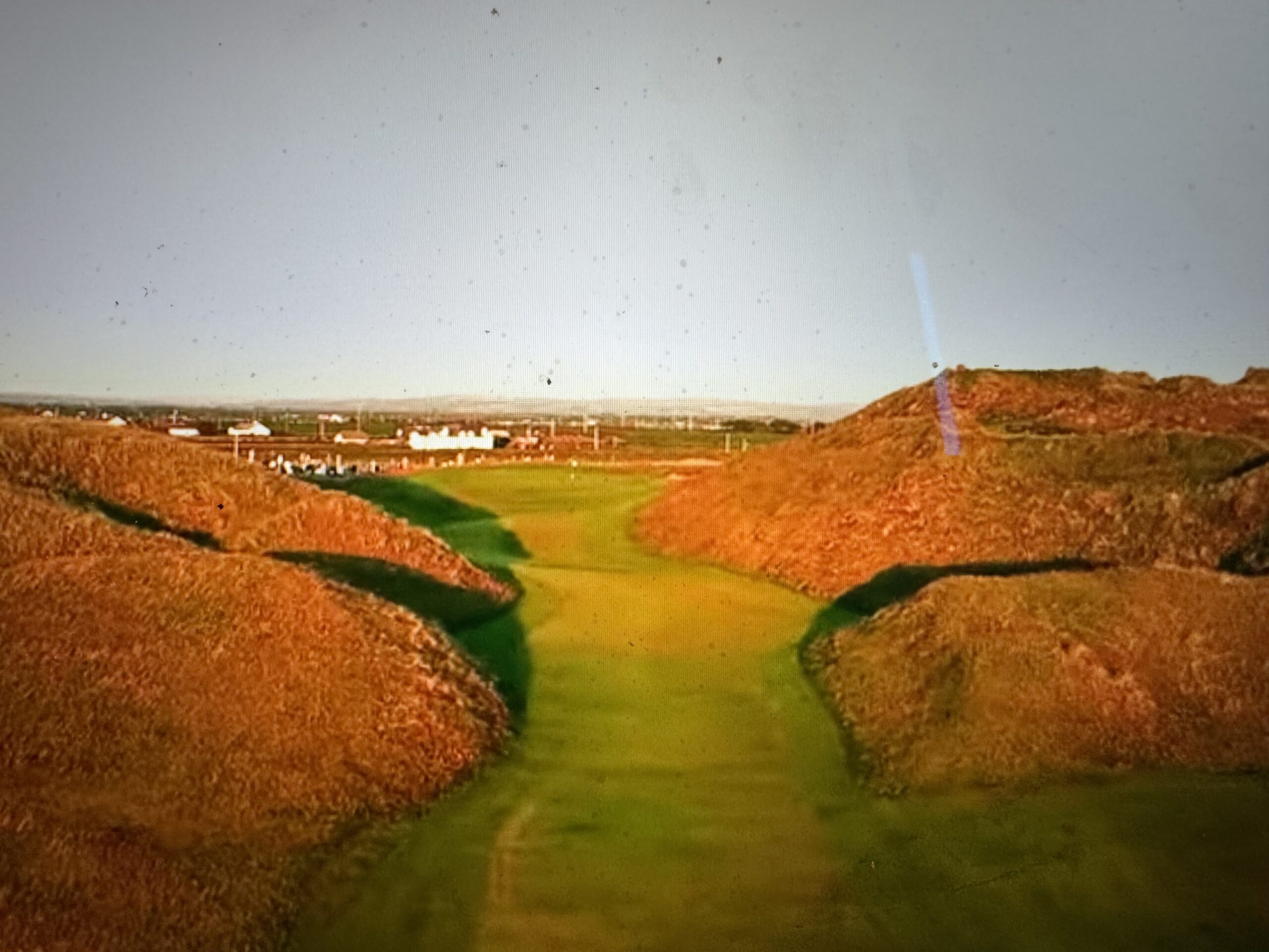 IMG_1490