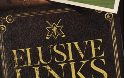 Review of Elusive Links by Dan Rosenberg