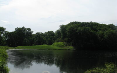 Yale CC Update